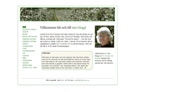 Desktop Screenshot of bodiljonsson.se